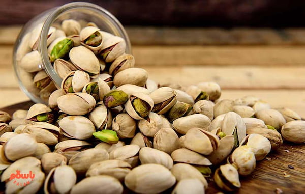 خرید و قیمت پسته انس ۲۴ + فروش عمده